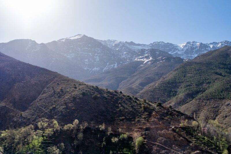 From Marrakech: Family/Friends Day Trip To Atlas Mountains - FAQ