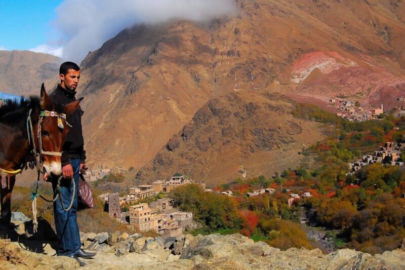 From Marrakech: Full-Day Atlas Mountain Berber Tour - Practical Tips for a Smooth Trip