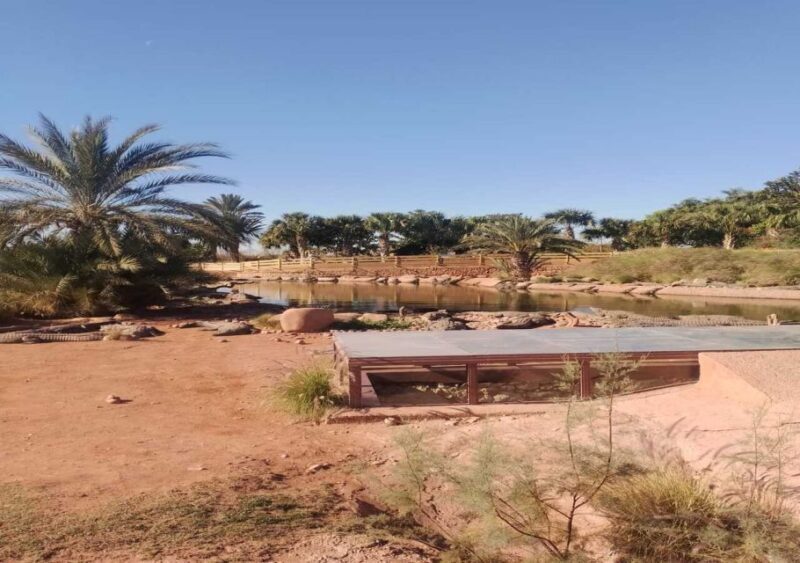 From Marrakech: Full-Day Trip to Agadir - Key Points