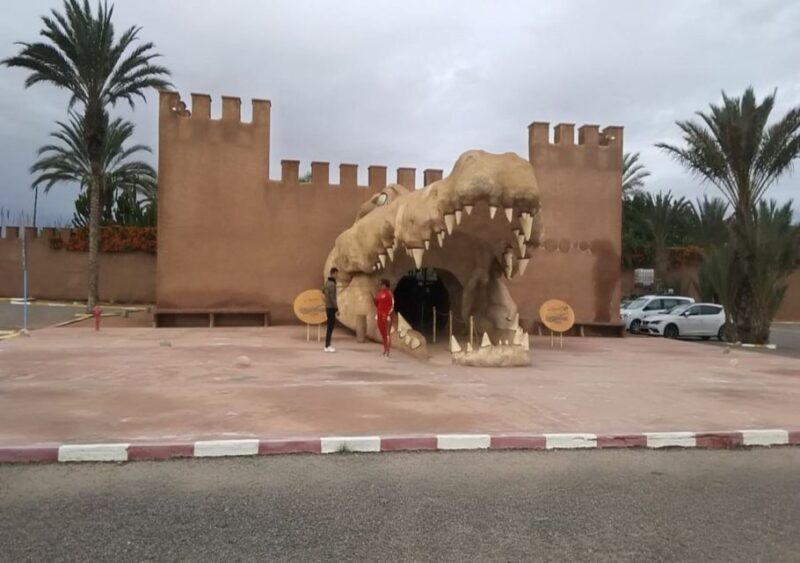 From Marrakech: Full-Day Trip to Agadir - Practical Tips for Travelers