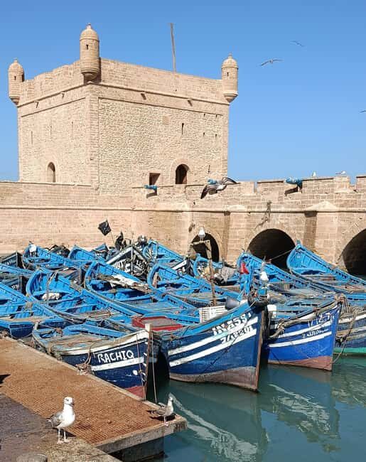 From Marrakech : Full Day Trip to Essaouira - Key Points