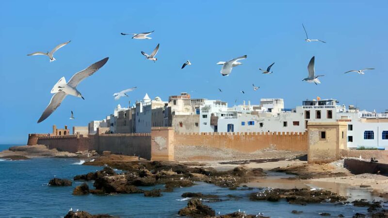 From Marrakech : Full Day Trip to Essaouira - Practical Tips & Considerations