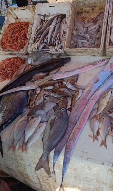 From Marrakech : Full Day Trip to Essaouira - FAQ