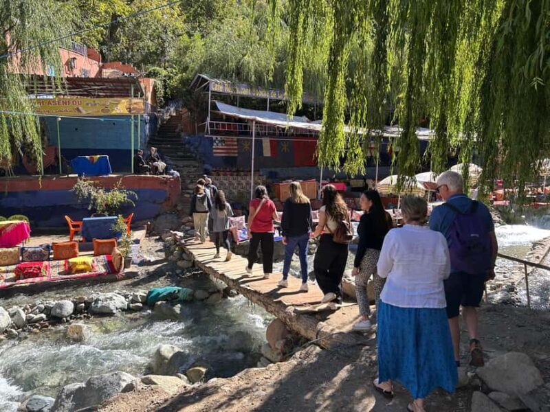 From Marrakech: Guided Ourika Valley with Waterfalls & Lunch - A Complete Breakdown of the Ourika Valley Tour
