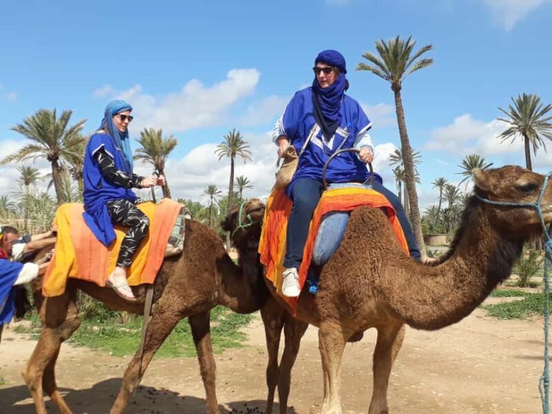 From Marrakech: Half-Day Desert Quad Trip with Camel Ride - Final Thoughts