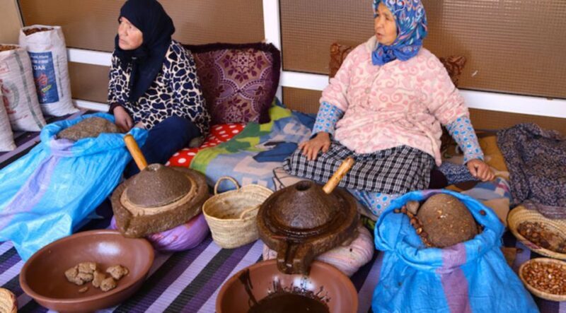 From Marrakech: Half-Day Tour to Atlas Mountains & Ourika - An In-Depth Look at the Tour Experience