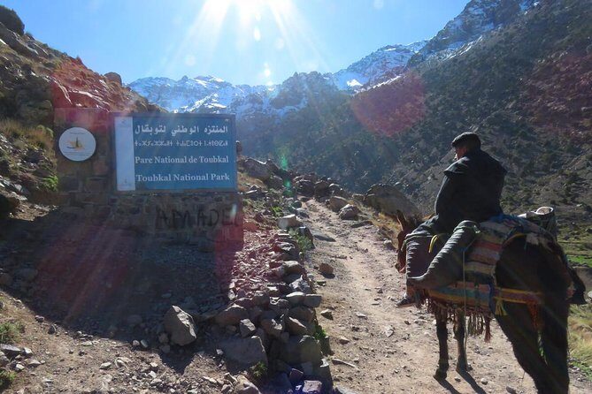 From Marrakech hiking day trip in Imlil Valley and kasbah Toubkal - Why This Tour Offers Great Value