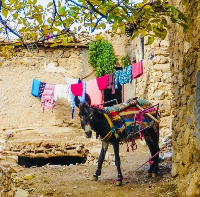 From Marrakech: Imlil Village and Kik Plateau Day Trip - FAQ