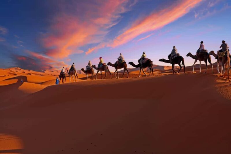 From Marrakech: Merzouga 3-Day Desert Safari with Food - Who Will Love This Tour?