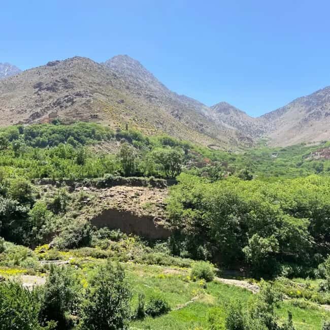 From Marrakech: Nature and Atlas Morocco History's Day Trip - Key Points