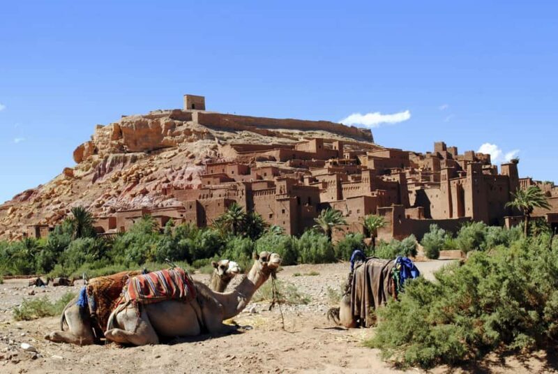 From Marrakech: Ouarzazate & Ait Benhaddou Guided Day Trip - Key Points