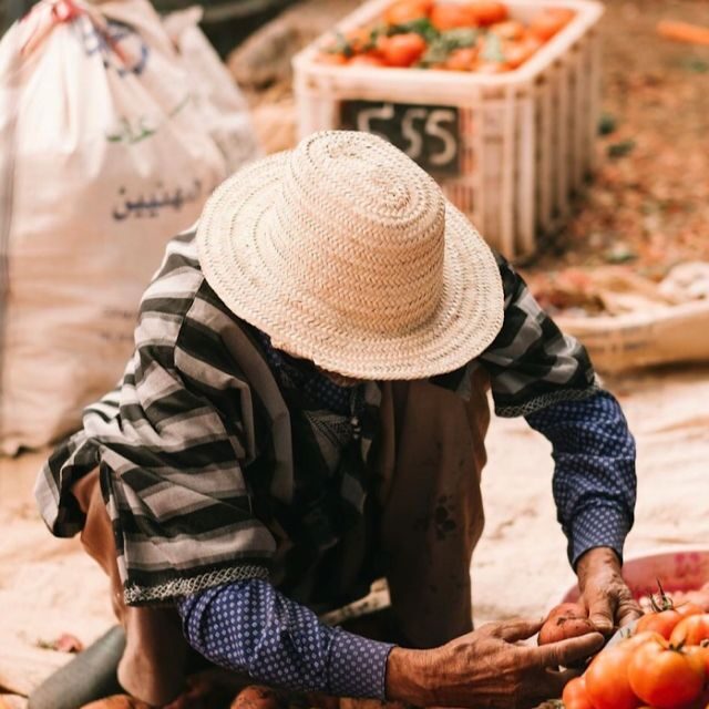From Marrakech: Ouirgane Day Trip with Traditional Lunch - Discovering Ouirgane: The Itinerary Breakdown