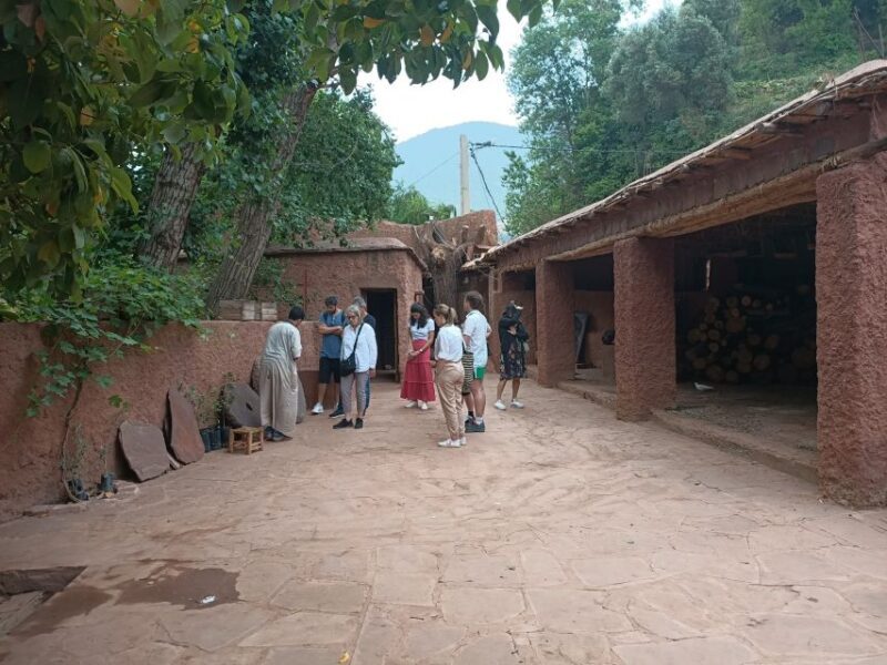 From Marrakech: Ourika Valley and Atlas Mountains Day Tour - A Fully Descriptive Look at the Ourika Valley and Atlas Mountains Day Tour