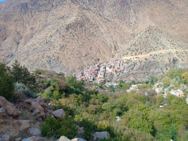 From Marrakech: Ourika Valley and Atlas Mountains Day Tour - FAQs