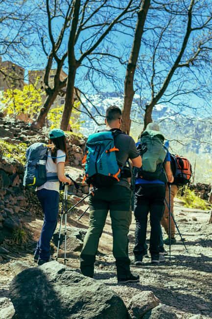 From Marrakech: Ourika Valley and Setti Fatma Day Trip - A Glimpse into What the Tour Offers