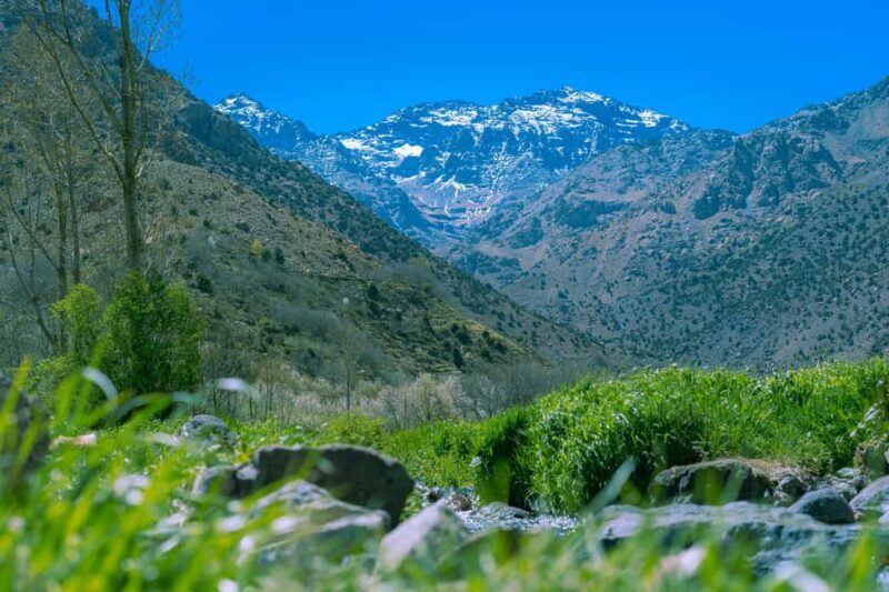 From Marrakech: Ourika Valley and Setti Fatma Day Trip - Transport and Duration