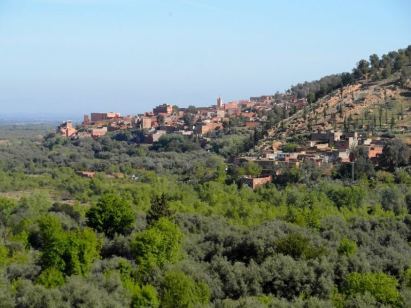 From Marrakech: Ourika Valley & Atlas Mountains Waterfalls - Value for Money