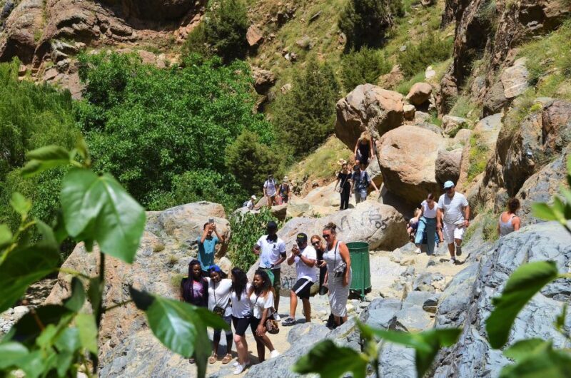 From Marrakech: Ourika Valley & Atlas Mountains Waterfalls - Who Is This Tour Best Suited For?