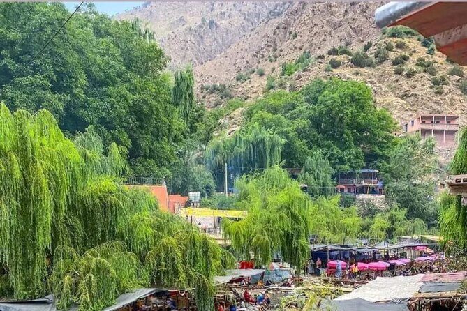 From Marrakech: Ourika Valley, Atlas, Waterfalls & Guide - What Makes This Tour Stand Out?