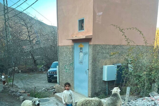 From Marrakech: Ourika Valley, Atlas, Waterfalls & Guide - FAQ