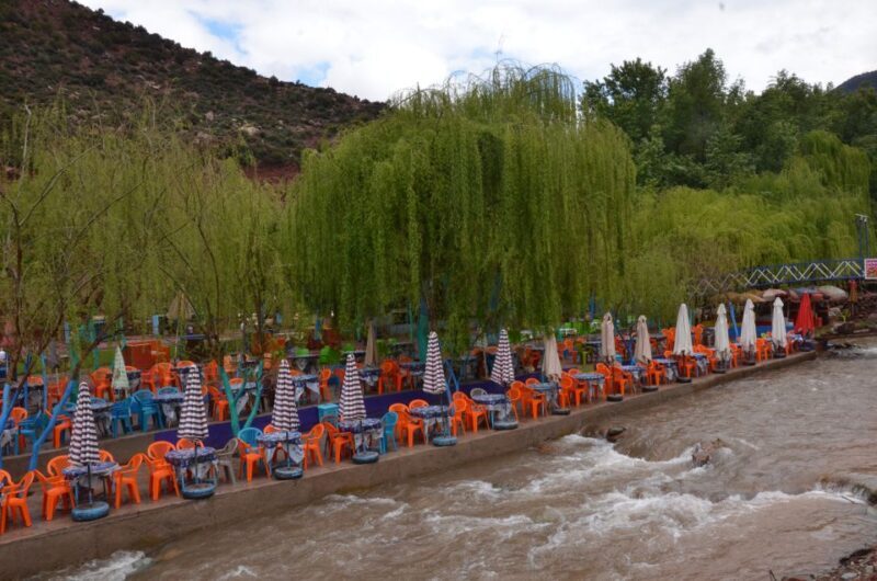 From Marrakech: Ourika Valley Day Trip with Lunch - Final Thoughts