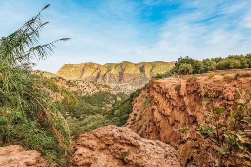 From Marrakech: Ouzoud Waterfalls Day Trip with Local Guide - Authentic Insights from Reviewers