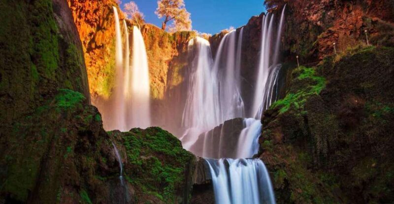 From Marrakech: Ouzoud Waterfalls Full-Day Private Trip - Key Points