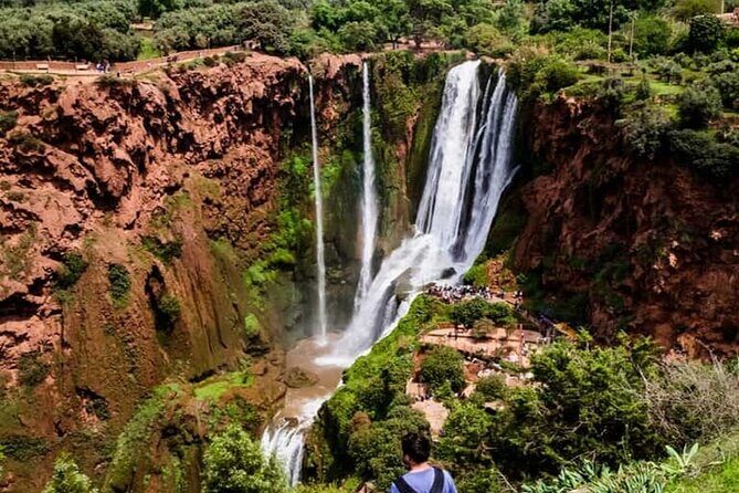 From Marrakech: Ouzoud Waterfalls Guided Hike and Boat Trip - The Itinerary: What You Can Expect