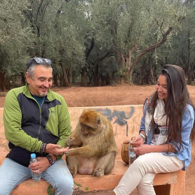 From Marrakech: Ouzoud Waterfalls Guided hike & boat Ride - Final Stretch and Return to Marrakech