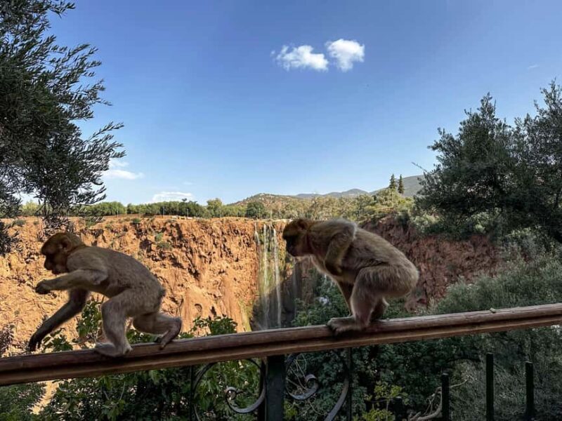 From Marrakech: Ouzoud Waterfalls Guided Trip with Boat Ride - Considerations and Practical Tips