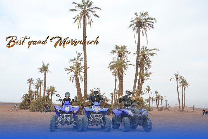 From Marrakech: Palm Grove Quad Bike and Camel Ride Tour - The Downsides and Considerations