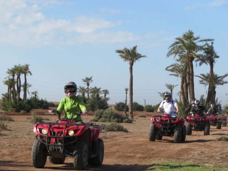 From Marrakech : Palm Grove Quad Bike Tour - Key Points