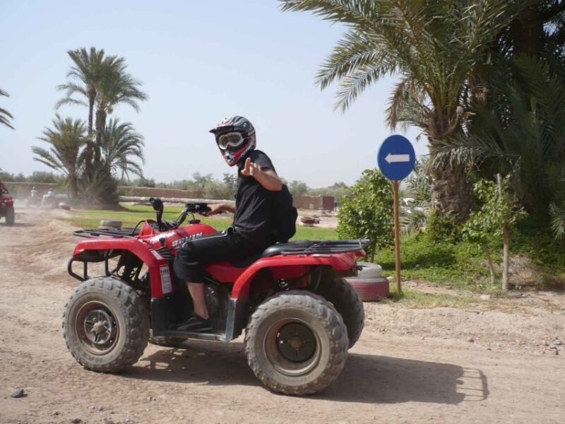 From Marrakech : Palm Grove Quad Bike Tour - Who Should Consider This Tour?