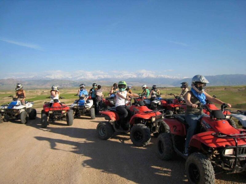 From Marrakech : Palm Grove Quad Bike Tour - The Sum Up