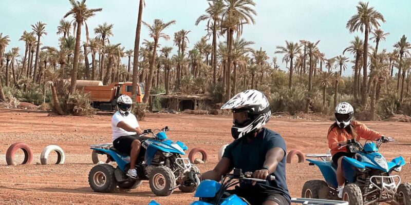 From Marrakech: Palm Grove Quad Bike Tour with Mint Tea - Key Points