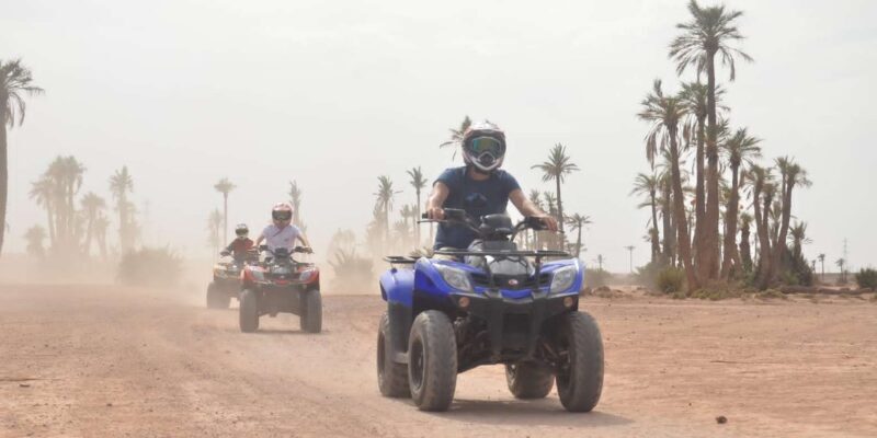 From Marrakech: Palm Grove Quad Bike Tour with Mint Tea - Why This Tour Works Well for Certain Travelers