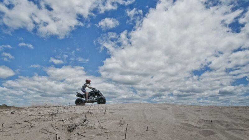 From Marrakech: Palmeraie and Berber Village Guided ATV Tour - What to Expect from the Marrakech Palmeraie ATV Tour