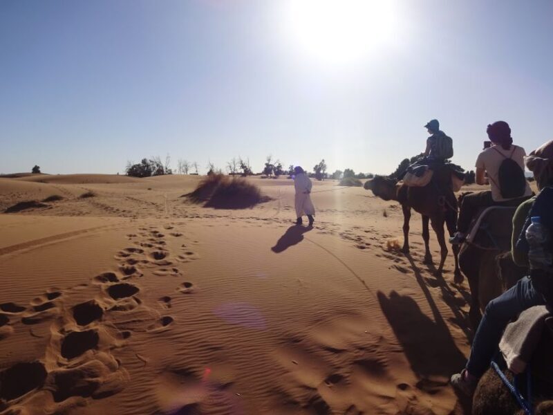 From Marrakech: Private 3-Day Sahara to Merzouga Tour - Final Thoughts