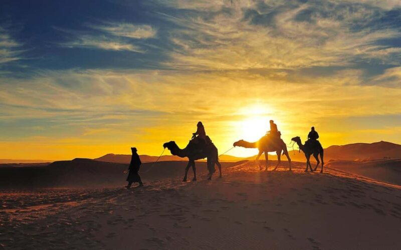 From Marrakech: Private 5-Day Zagora & Merzouga Desert Tour - Who Would Love This Tour?