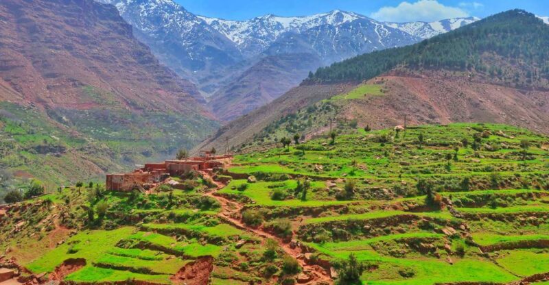 From Marrakech: Private Atlas Mountains Day Trip - Key Points