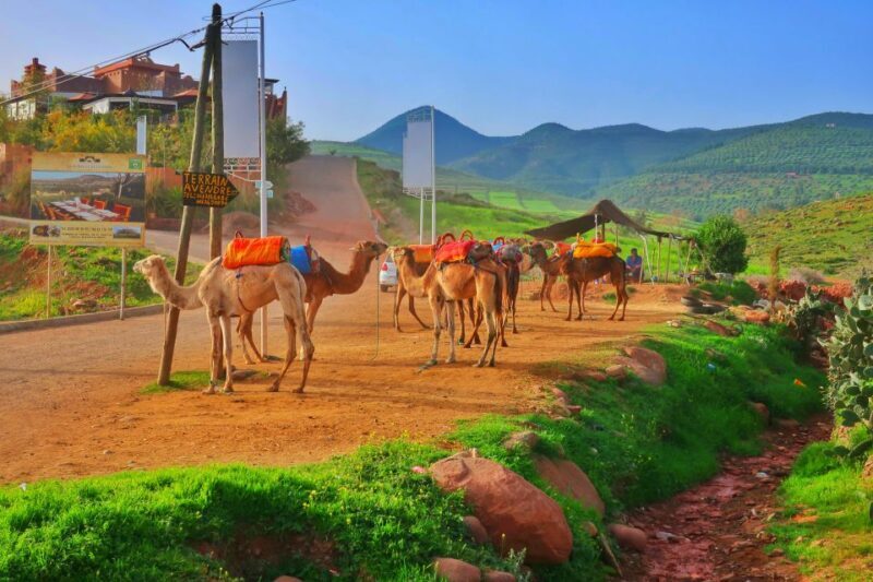 From Marrakech: Private Atlas Mountains Day Trip - A Closer Look at the Itinerary