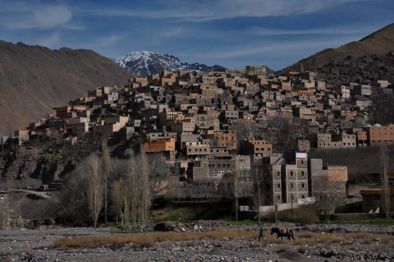 From Marrakech: Private Day Trip to Atlas Mountains - Pricing and Value