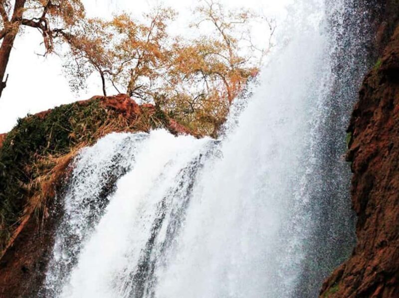 From Marrakech: Private Ouzoud Falls & Boat Ride Day Trip - Who Will Love This Tour?