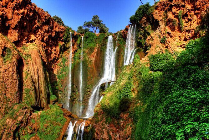 From Marrakech: Quad Bike Tour & Camel Ride to Agafay Desert - Authenticity and Cultural Insight