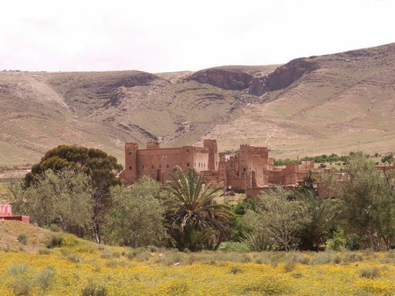 From Marrakech: Sahara Desert 2-Day Trip with Camel Ride - Who Should Consider This Tour?
