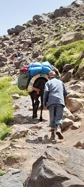 From Marrakech: Scenic Day Trip to Ourika Valley - Final Thoughts