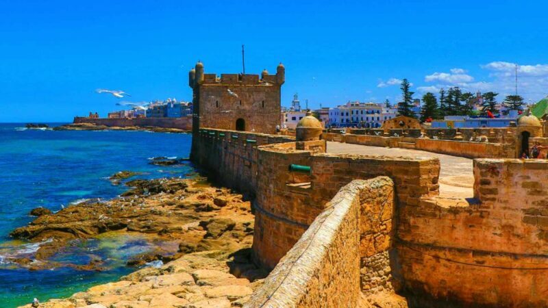 From Marrakech Shared Small Group Tour to Essaouira mogador - Fresh Seafood and the Harbor Atmosphere