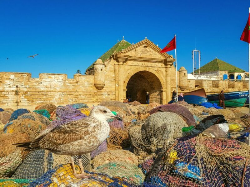 From Marrakech Shared Small Group Tour to Essaouira mogador - Is This Tour Worth It?