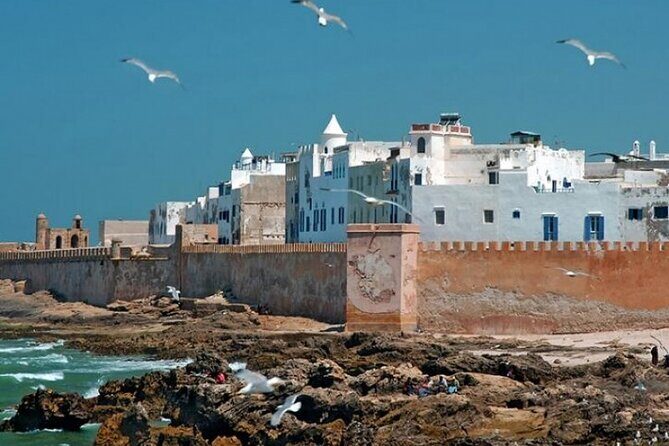From Marrakech : Shared Tour to Essaouira - Final Thoughts