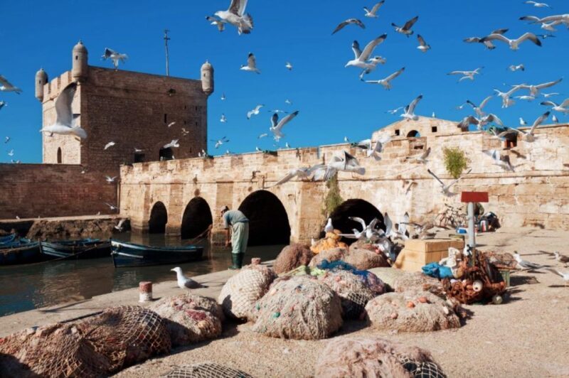 From Marrakech: small group Day Trip To Essaouira Mogador - Practical Tips for a Smooth Trip  